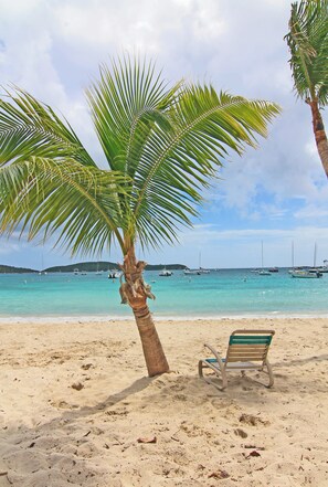 Una playa con una palmera, un banco y barcos en el agua.