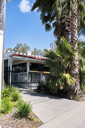 A building with a sign reading 'MAIN ENTRY' at the entrance, surrounded by palm trees and a clear sky.
