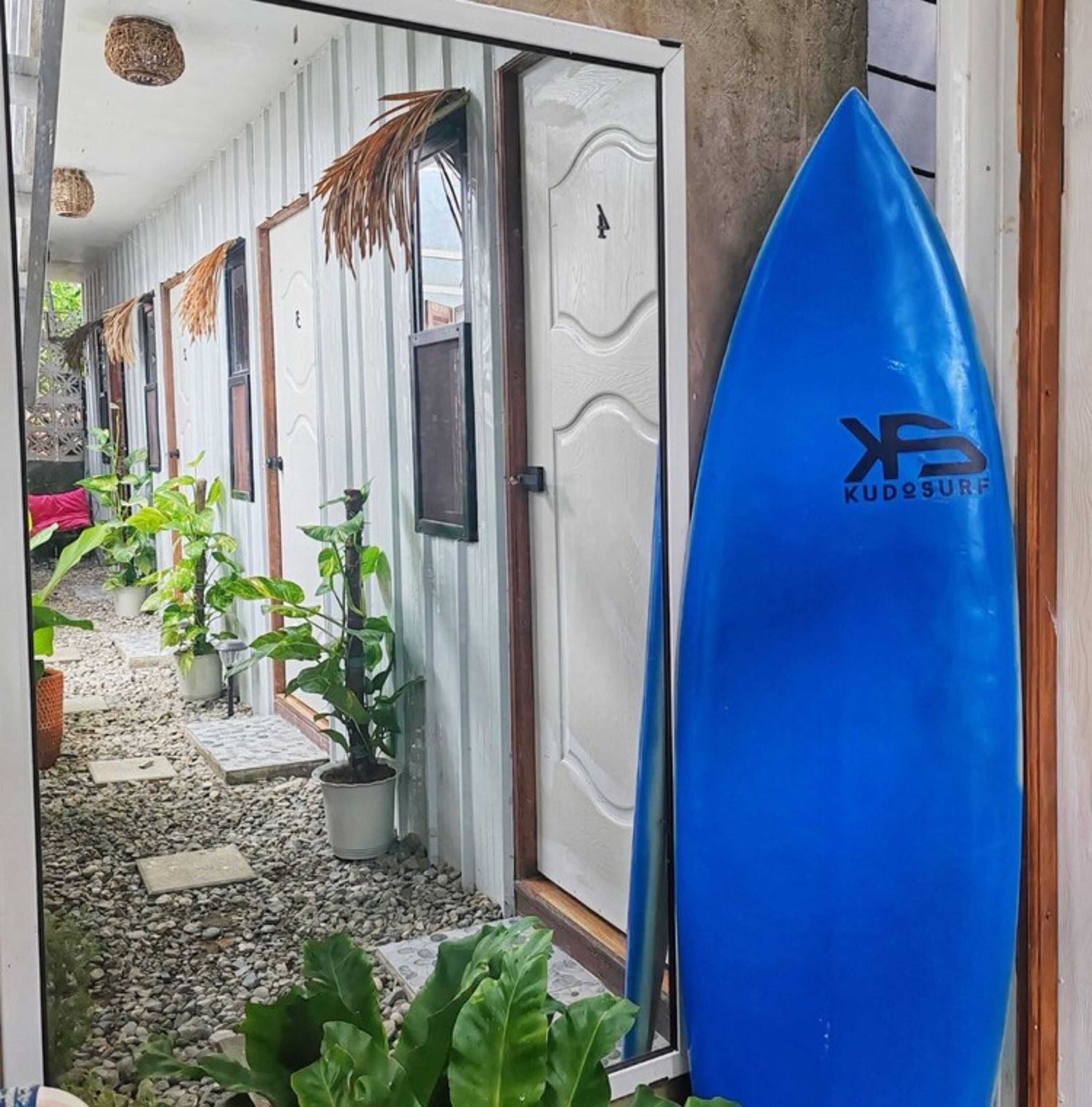 A narrow hallway with potted plants, a surfboard leaning against a wall, and a door with a textured pattern.