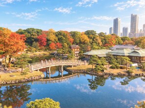 Een traditionele Japanse tuin met een houten brug over een vijver, omringd door bomen met herfstkleuren en traditionele gebouwen.