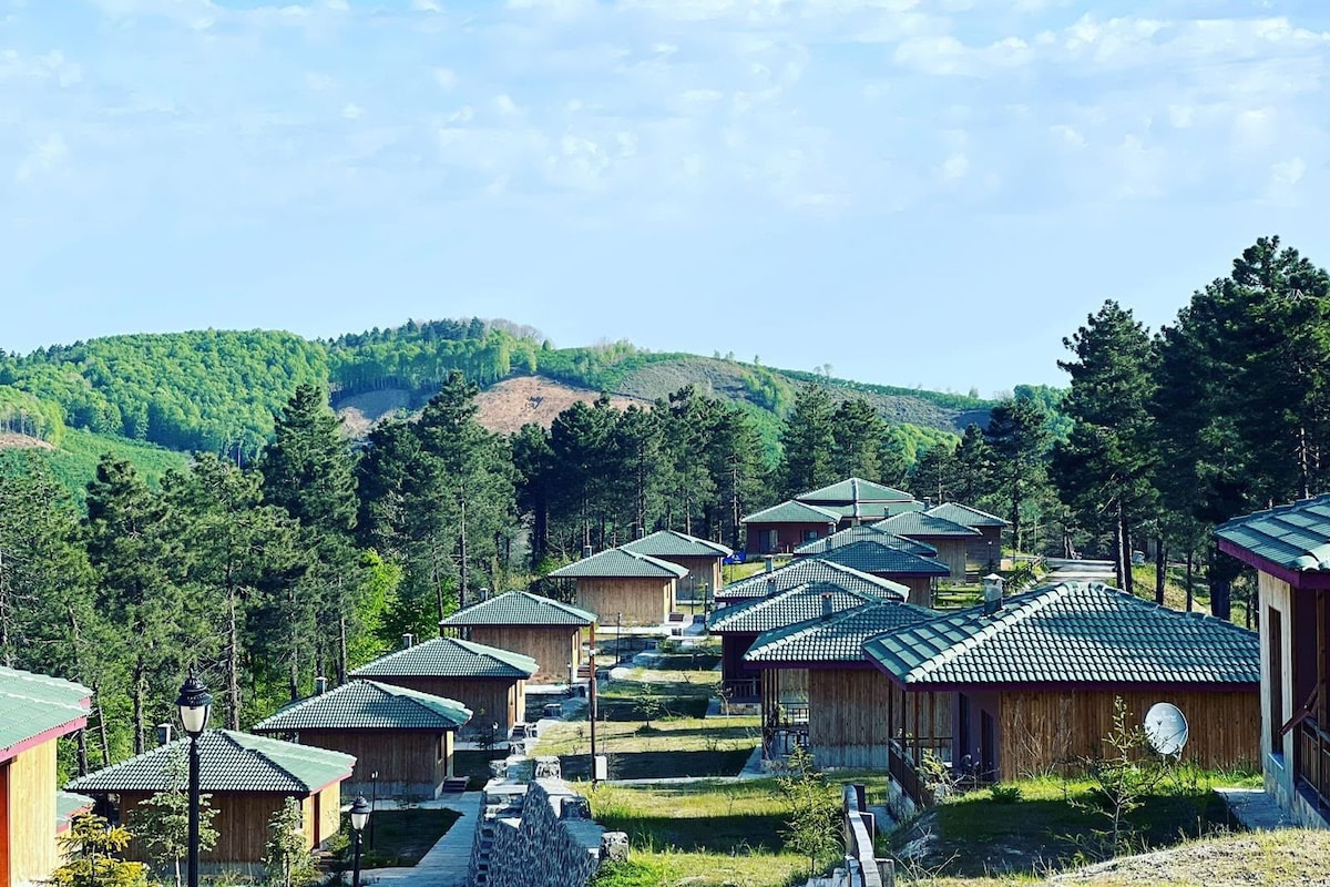A row of wooden cabins with green roofs, surrounded by lush greenery and hills in the background.