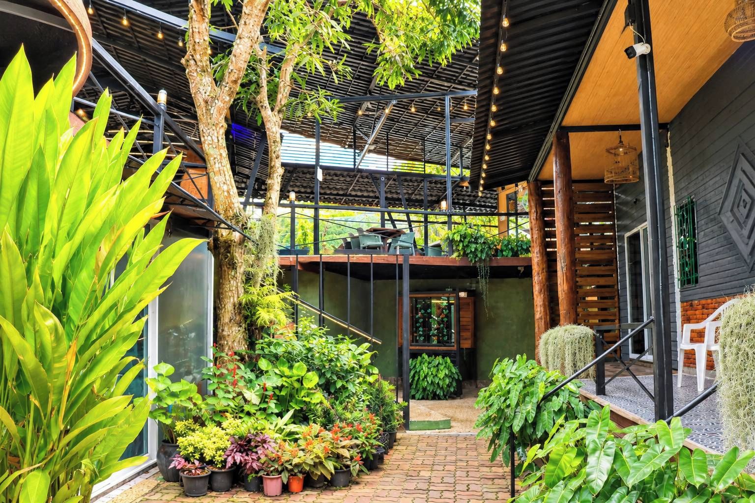 A modern outdoor area with a staircase, potted plants, and a wooden structure.