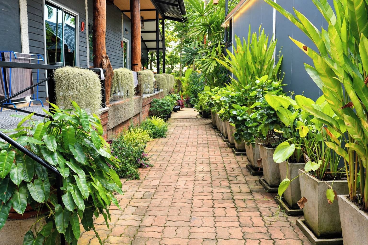 Un sendero pavimentado bordeado por macetas con plantas y un edificio con fachada oscura.