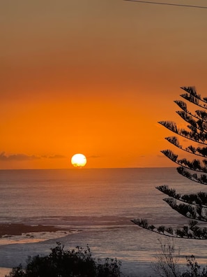 A sunset over a body of water with a silhouette of a tree on the right. - Cosy 3-Bedroom Coastal Retreat with Ocean Views Opposite a Patrolled Beach (Bulli)