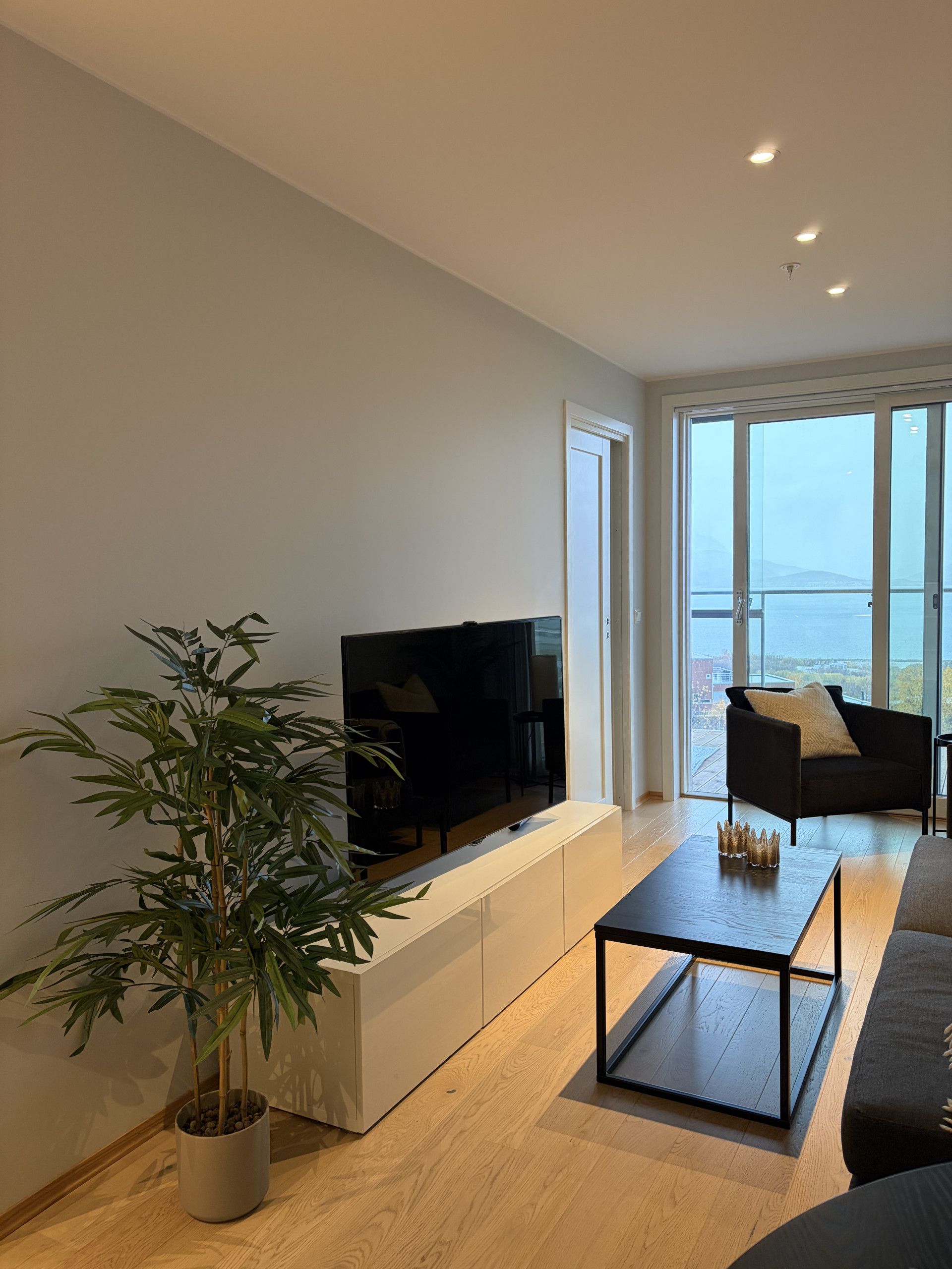 A modern living room with a television, a potted plant, a sofa, and a coffee table.