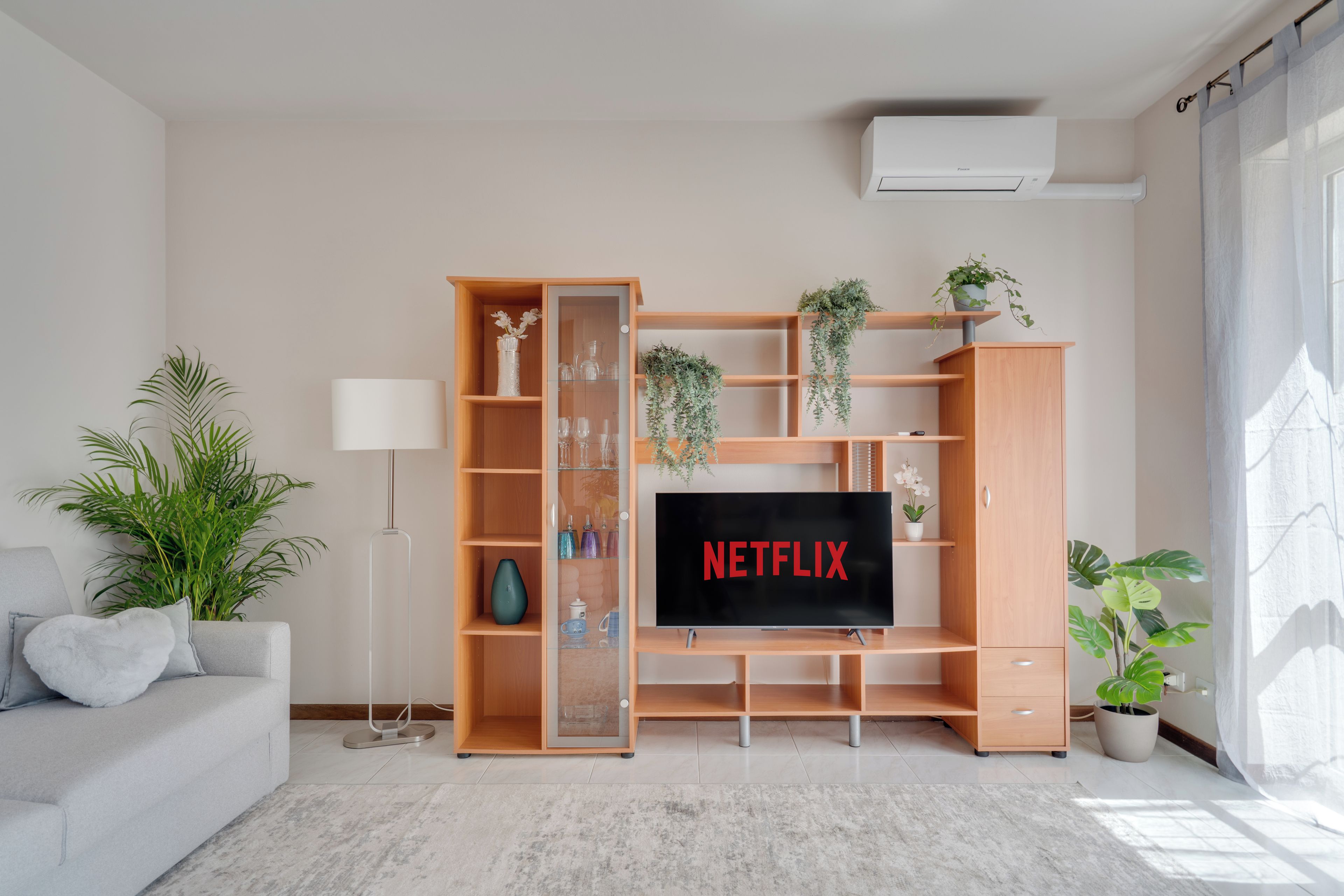 A living room with a wooden entertainment unit, a flat-screen TV, and a potted plant.