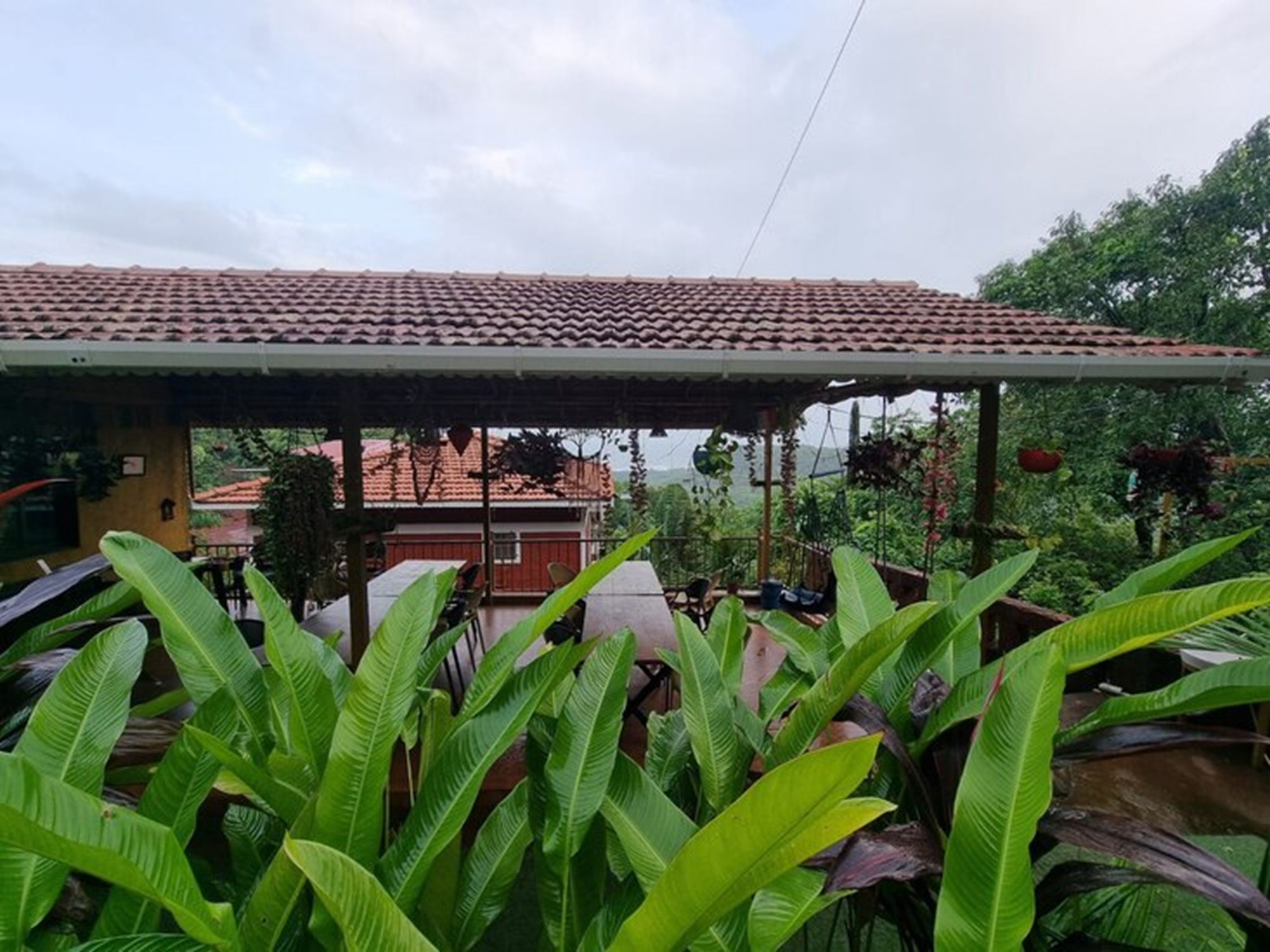 A covered outdoor area with a tiled roof, surrounded by lush green plants.
