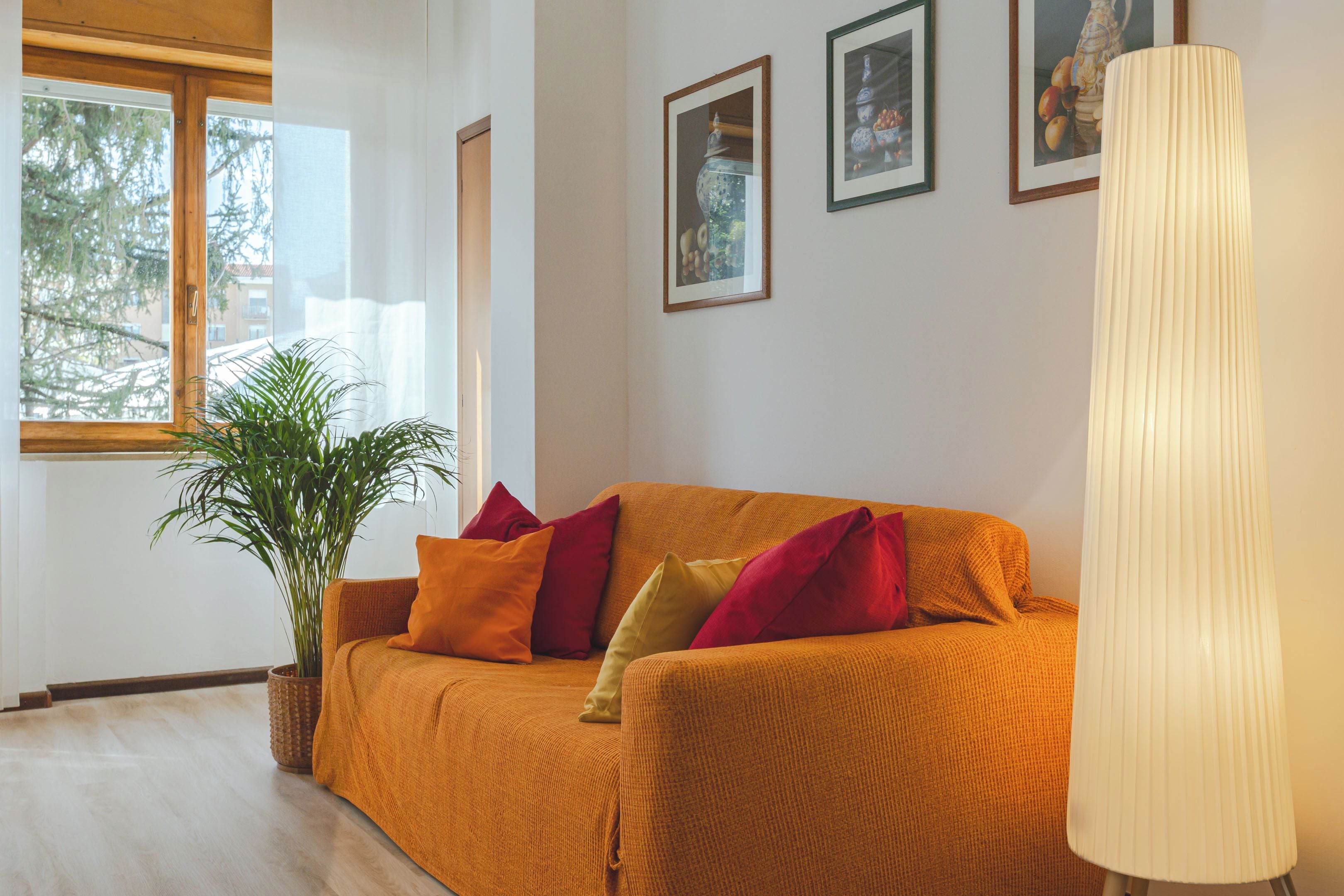 A living room with a sofa, pillows, a plant, and framed pictures on the wall.