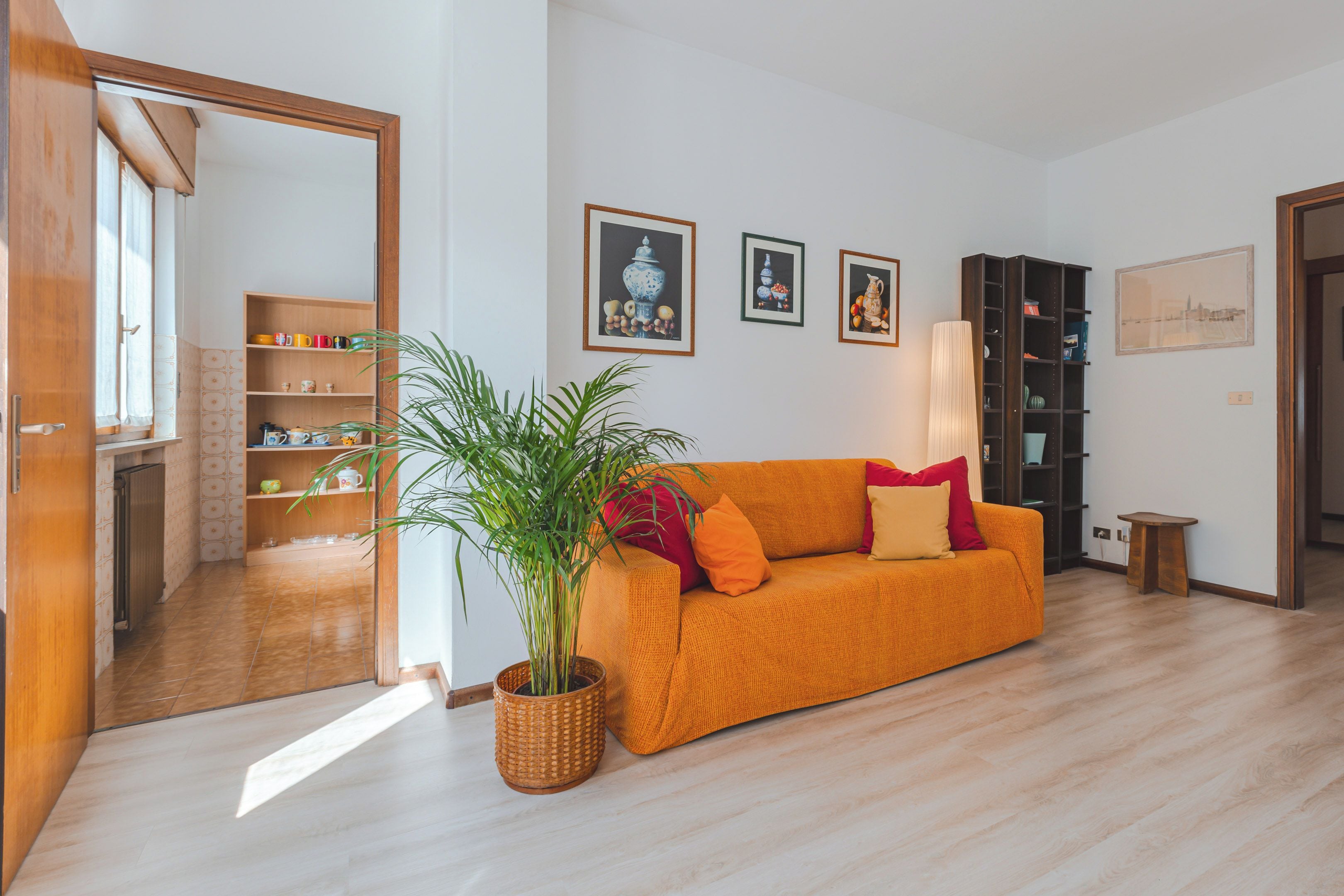 Ein Wohnzimmer mit einer Couch, einem Blumentopf und einem Bücherregal.
