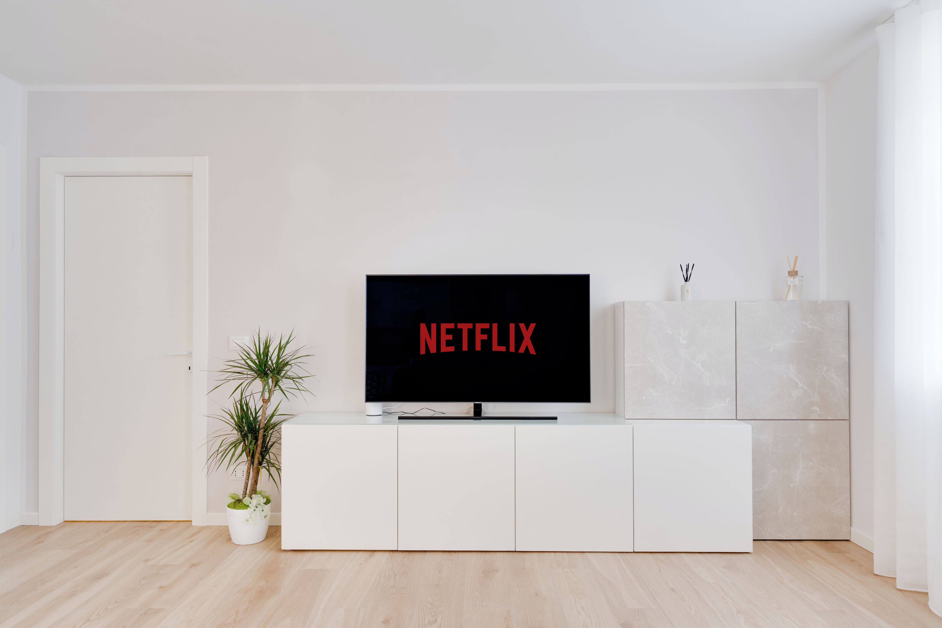 A modern living room with a white entertainment unit, a flat-screen TV displaying 'NETFLIX', and a small potted plant.