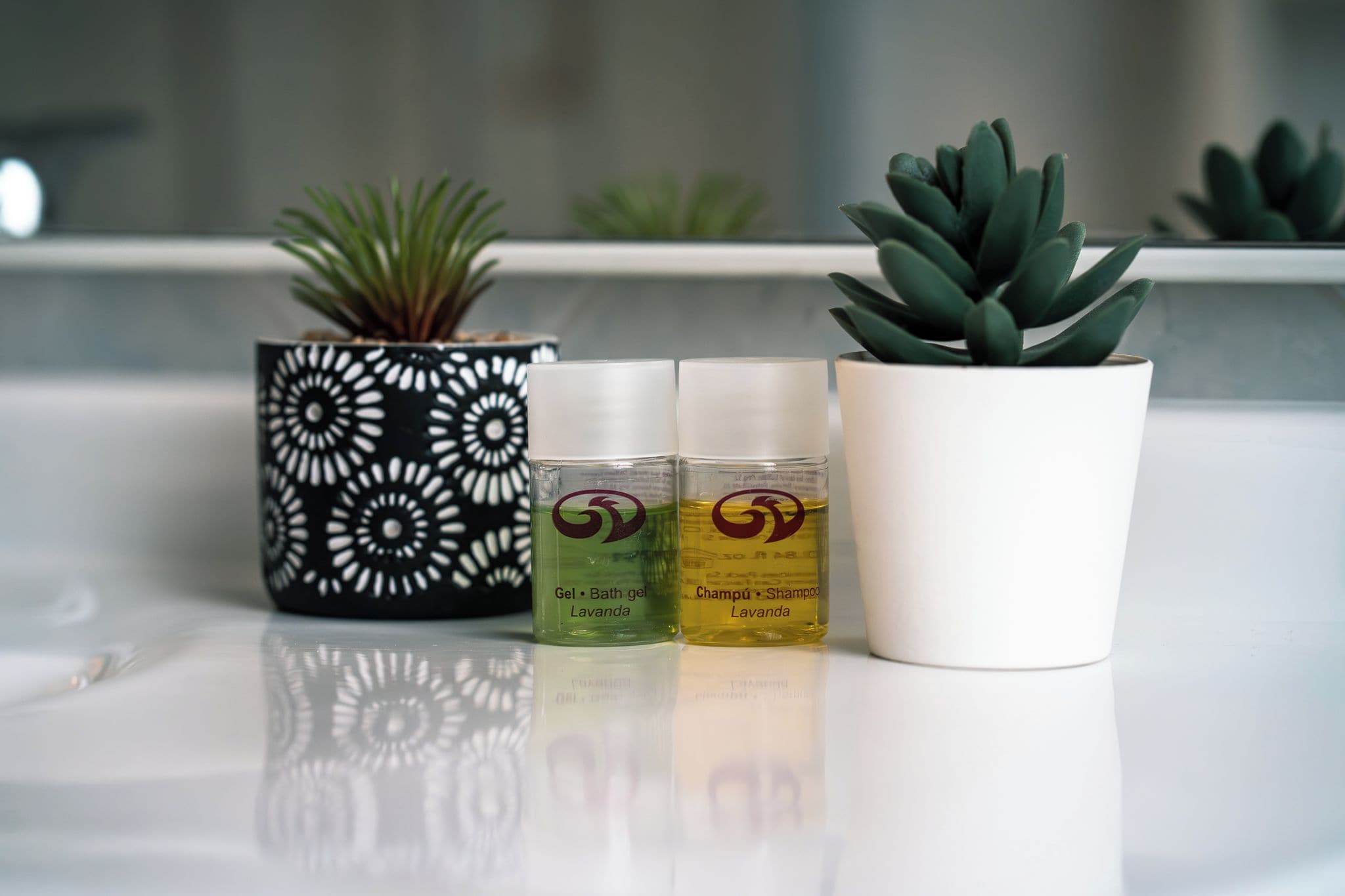 Une salle de bain avec un lavabo blanc, trois flacons de produits de bain à la lavande et deux plantes en pot.