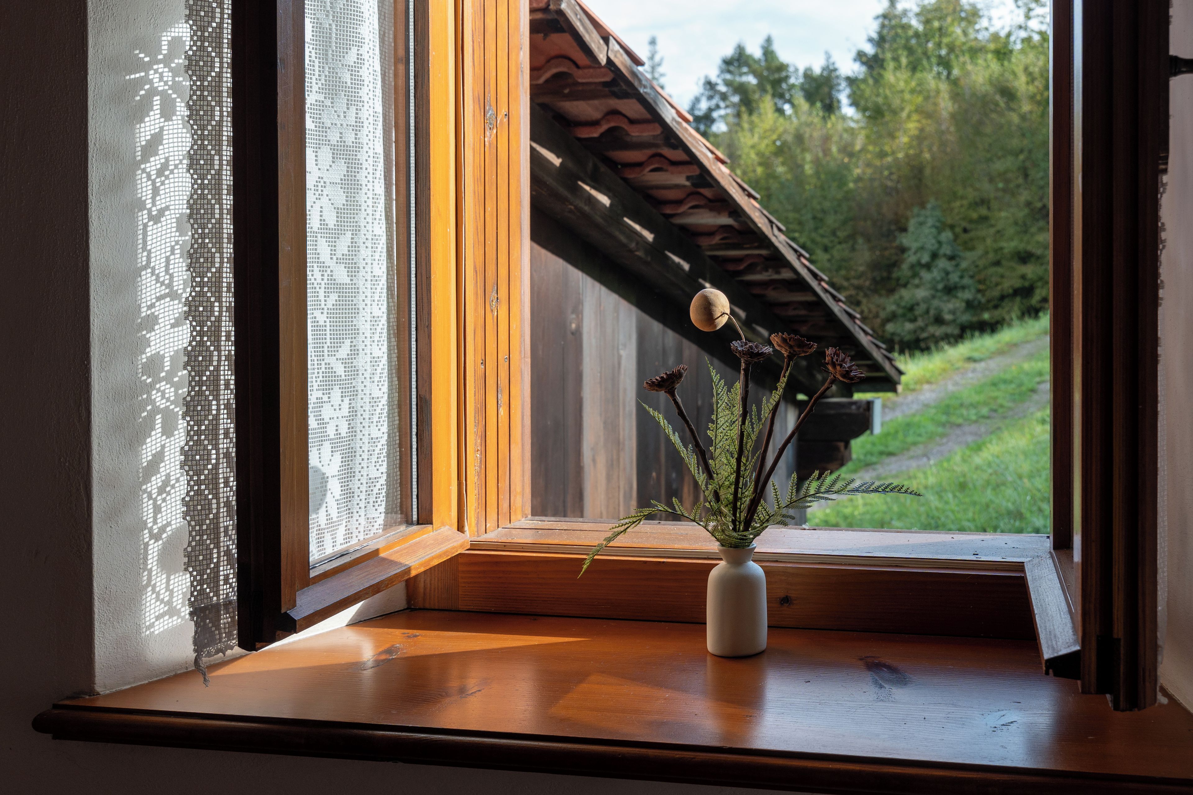 A window with a wooden sill, a white vase with a plant, and a view of a wooden structure and greenery outside.