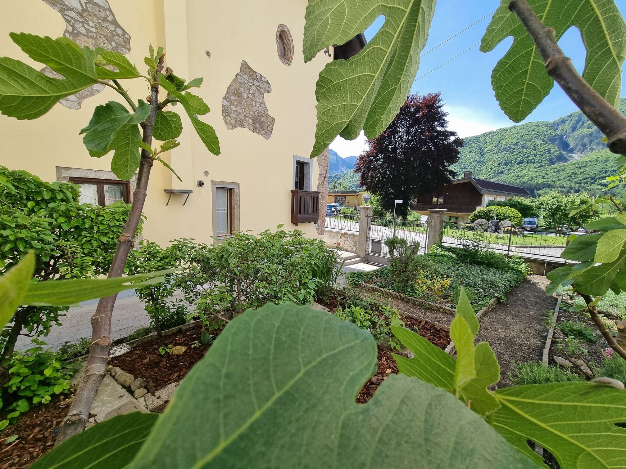 Ein Innenhof mit einem Gebäude, einem Baum und einem Berg im Hintergrund.