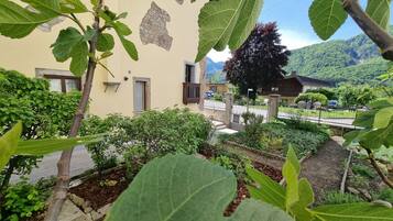 A courtyard with a building, a tree, and a mountain backdrop.