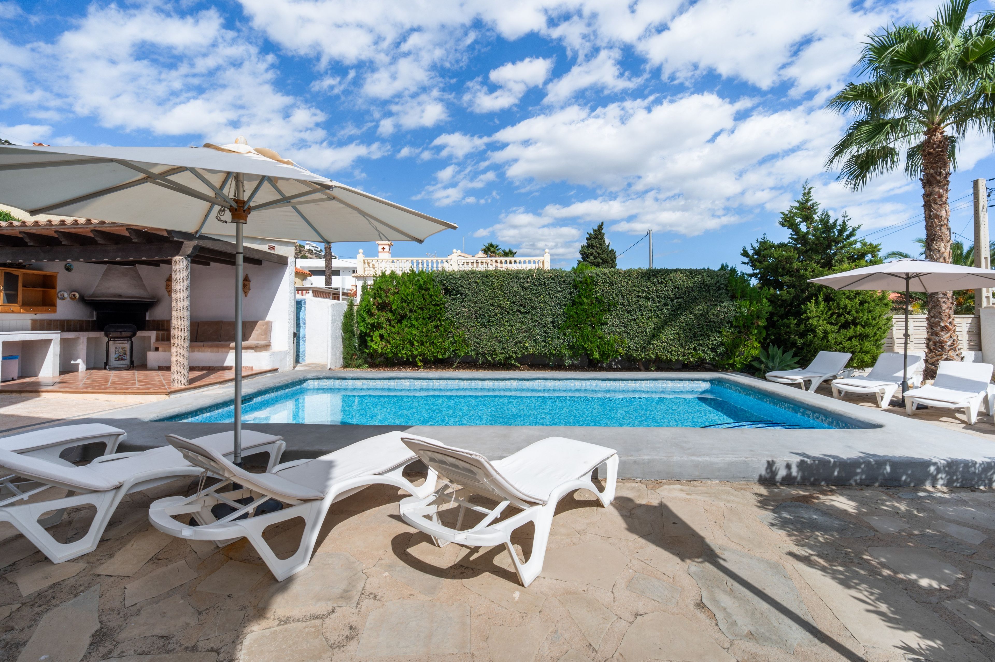 Una piscina con sillas de descanso y sombrillas, rodeada por un seto y palmeras.