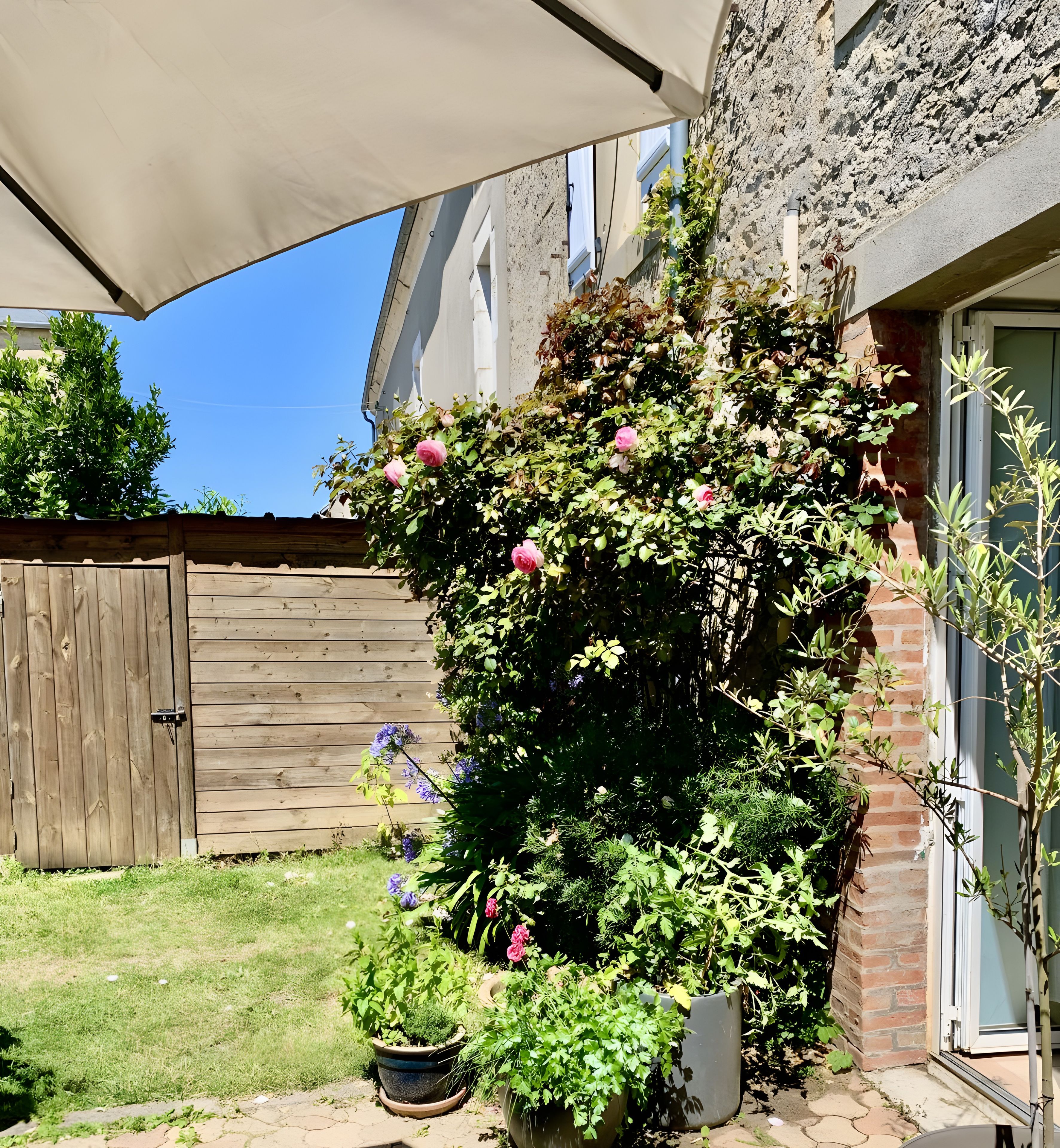 A garden with a wooden fence, a potted plant, and a building with a window.