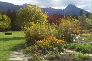 A garden with a variety of plants and flowers, a stone pathway, and a bench. - Holiday apartment with 1 bedroom (Fischen)