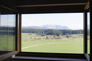 A window with a view of a green field, a forest, and a mountain range. - "Grünten" in the Seeblick house (Niedersonthofen)