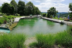 A swimming pool with a wooden deck, surrounded by lush greenery and trees. - Holiday apartment with 1 bedroom (Stockach)