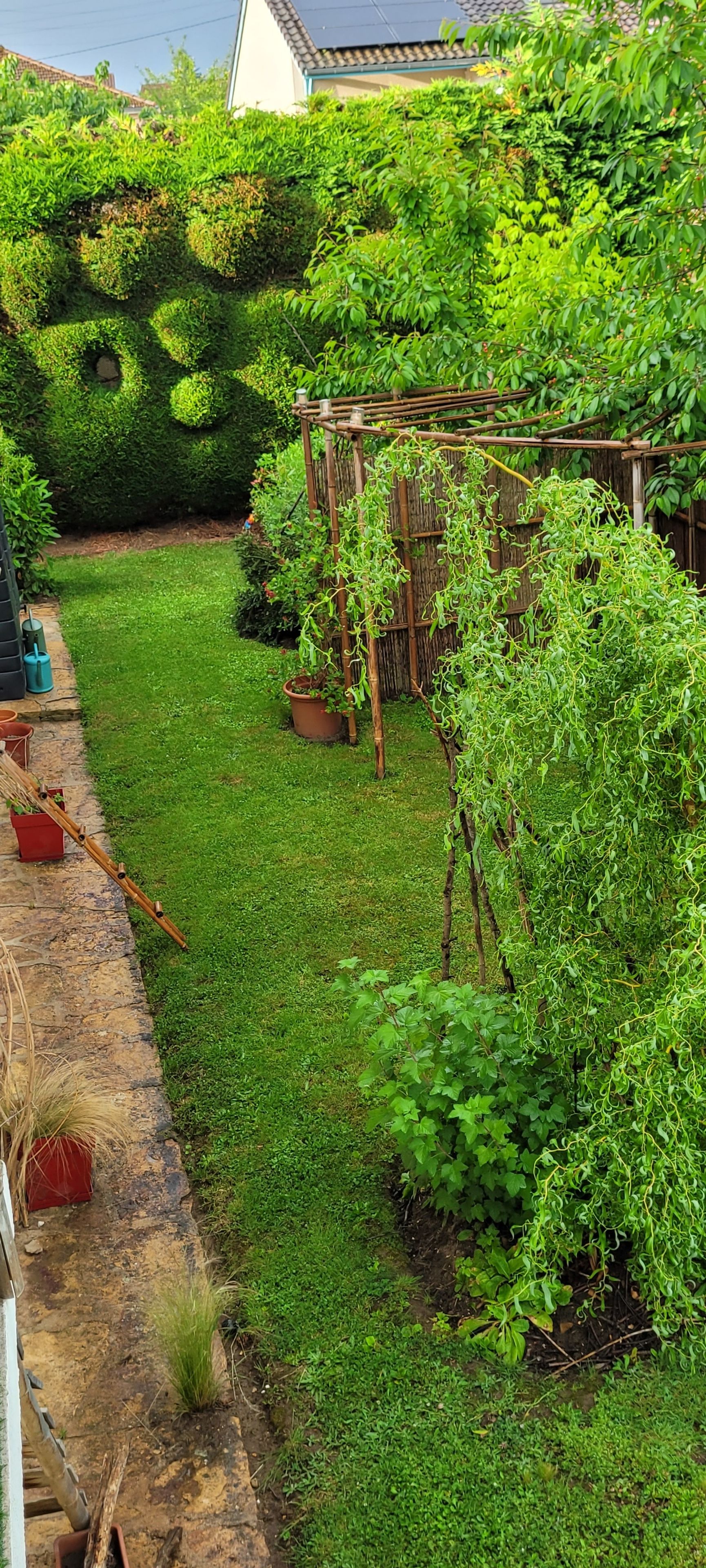 Un jardin bien entretenu, agrémenté de diverses plantes et d’une structure en treillis.