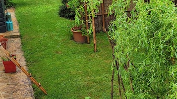 Un jardin bien entretenu, agrémenté de diverses plantes et d’une structure en treillis.