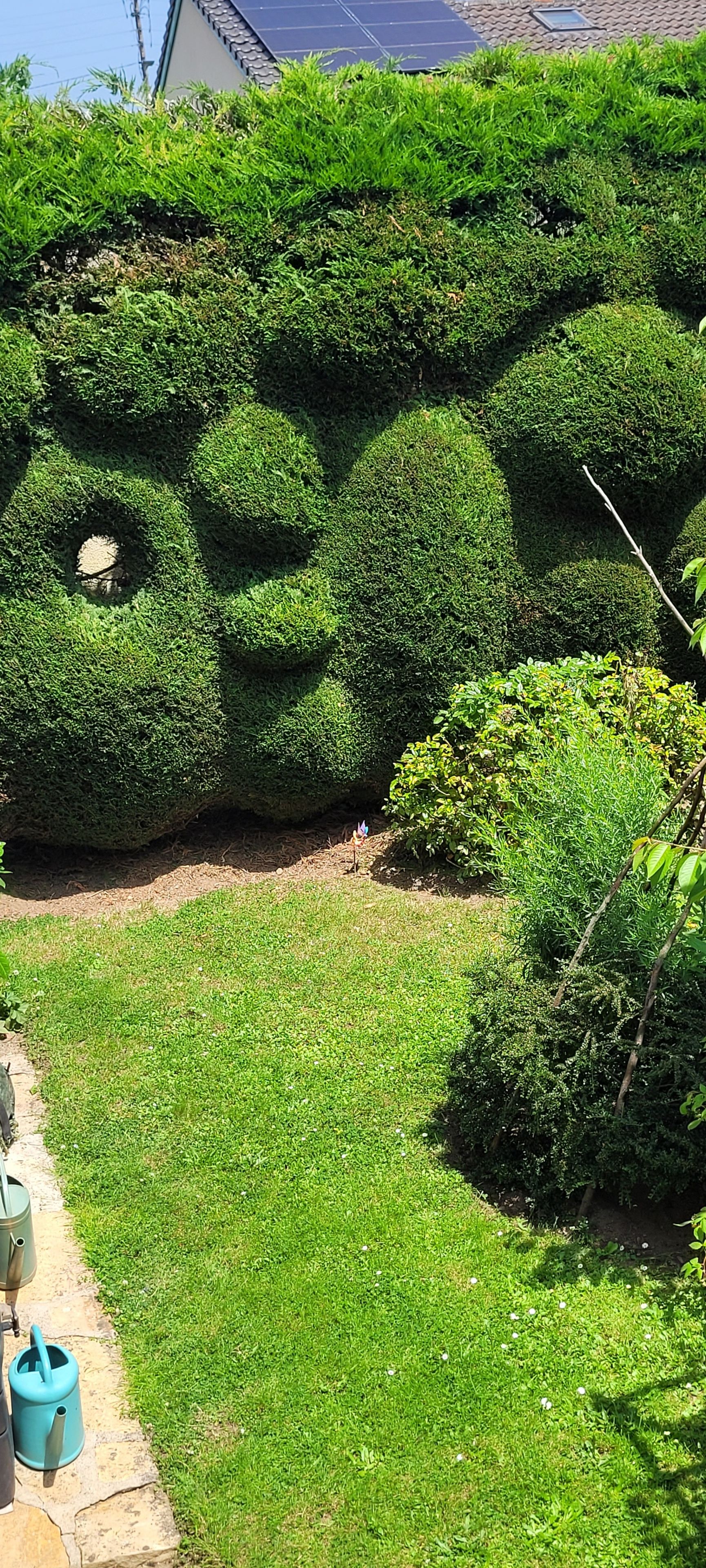 Un jardin bien entretenu, avec des haies soigneusement taillées et une pelouse verdoyante.