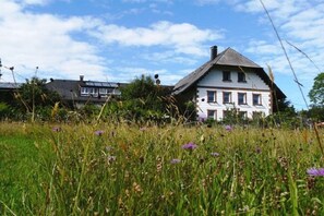 A white building with a steeply pitched roof, surrounded by a field of tall grass and purple flowers. - Organic farm with 3 bedrooms (Elzach, Heidburg)
