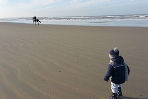 A beach with a horse and rider in the distance. - Holiday home in Buren with swimming pool (Buren)