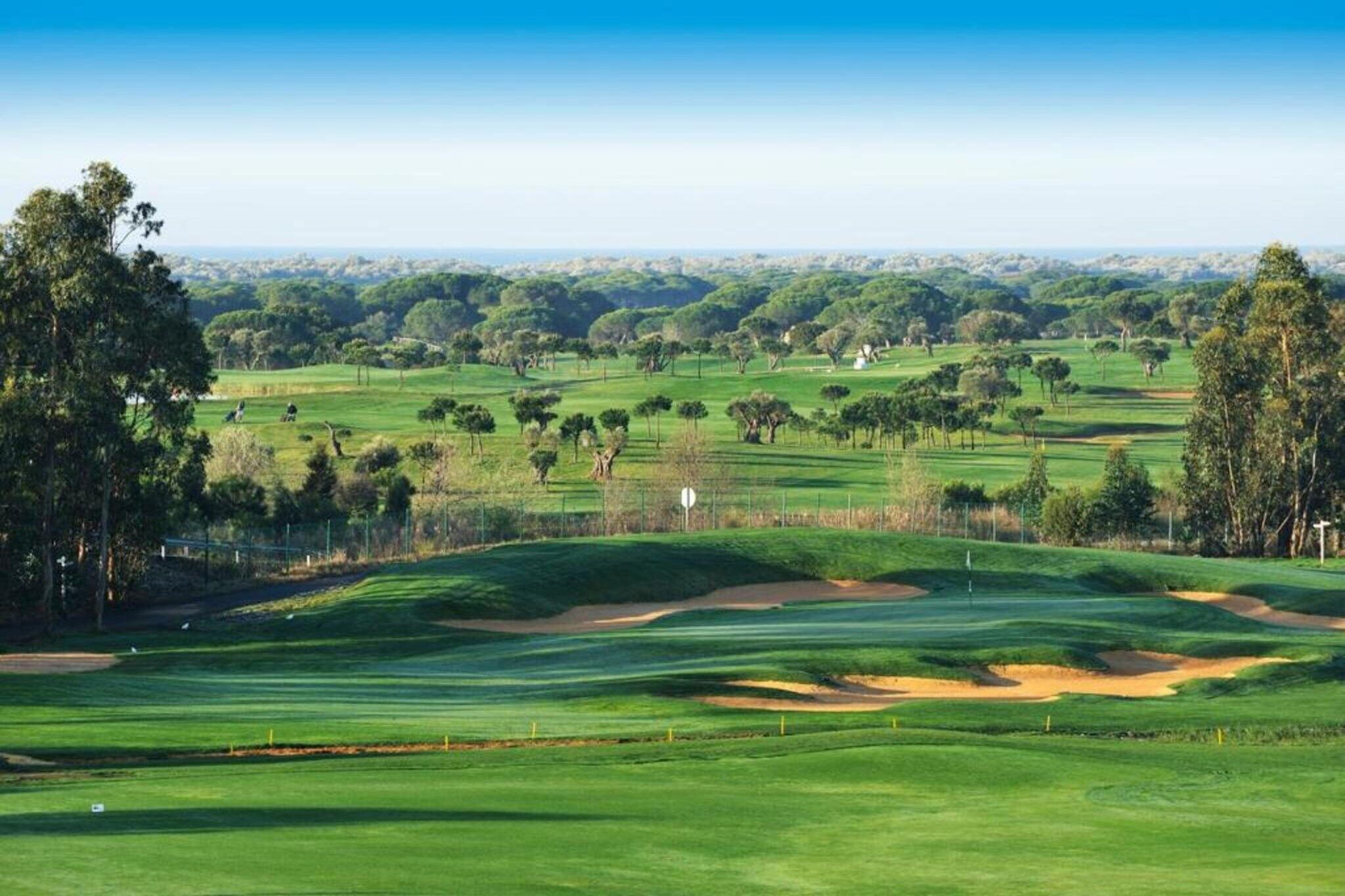 Un campo de golf con colinas ondulantes, árboles y un cielo despejado.