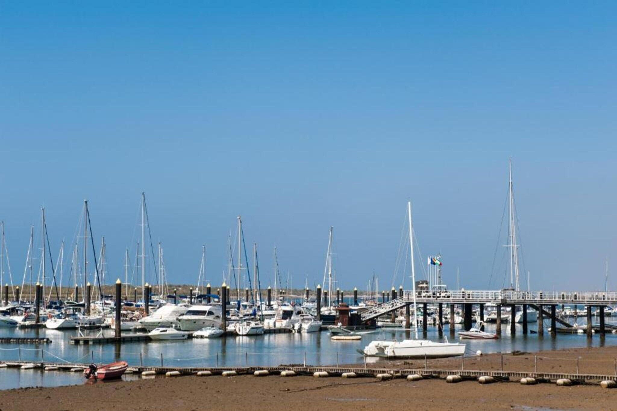 A marina with multiple boats docked, a pier, and a clear sky.