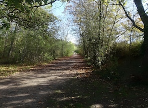 A dirt path surrounded by trees. - Guest Room 'La Parenth'aise Du Vexin' with Wi-Fi and air conditioning (Saint-Martin-la-Garenne)