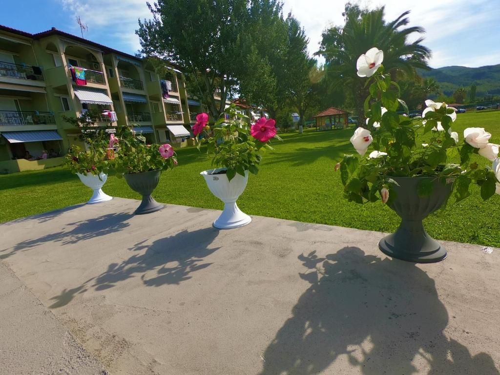 Een binnentuin met potplanten en een gebouw met balkons op de achtergrond.