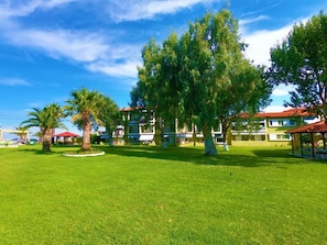 A hotel courtyard with a well-maintained lawn, several trees, and a building with a red roof in the background. - Chrissi Ammoudia (Toroni)