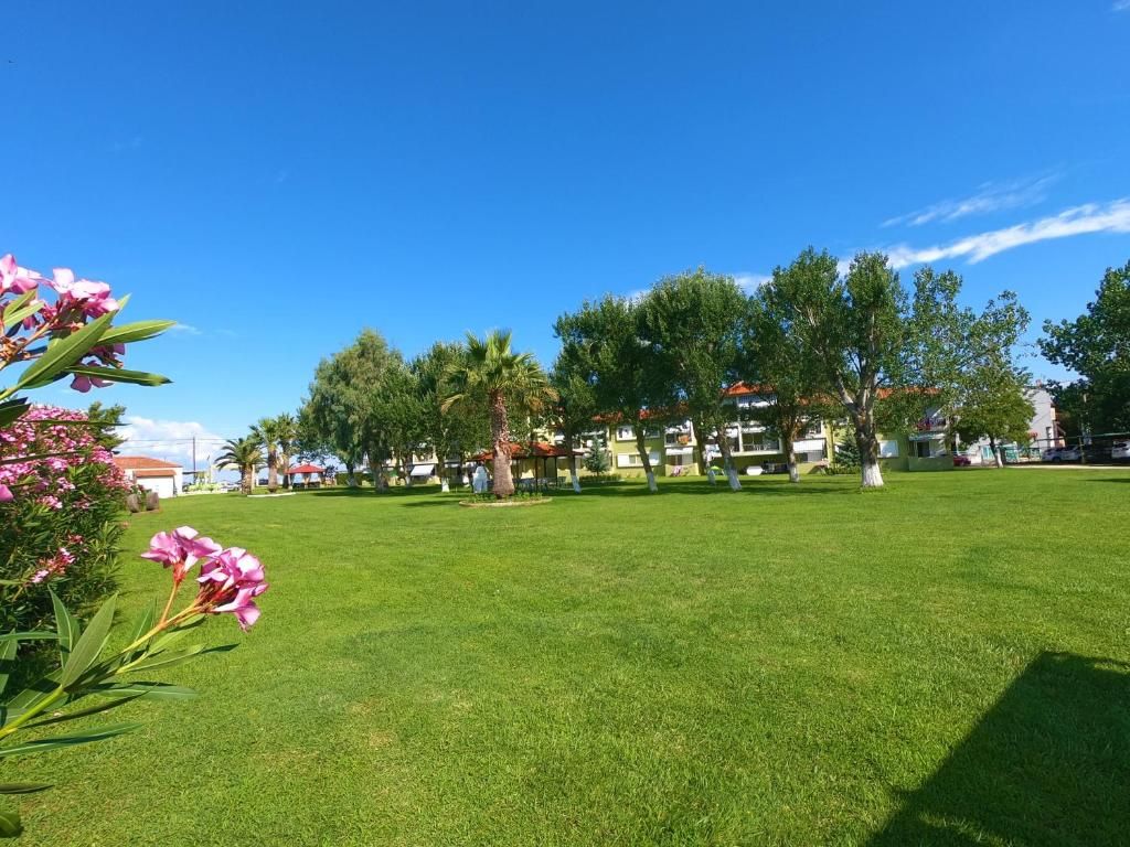 Un espacio cubierto de césped con árboles y un edificio al fondo.