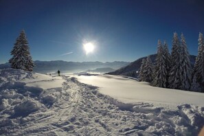 Eine verschneite Landschaft mit blauem Himmel und strahlender Sonne.
