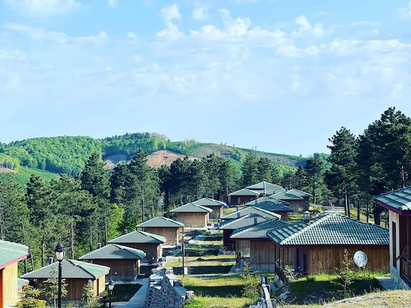 A row of wooden cabins with green roofs, surrounded by lush greenery and hills in the background.