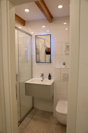 Et moderne badeværelse med brusekabine i glas, en hvid vask med spejl over, og et toilet.
