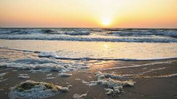 Ein Strand mit Wellen und Seetang im Sand.