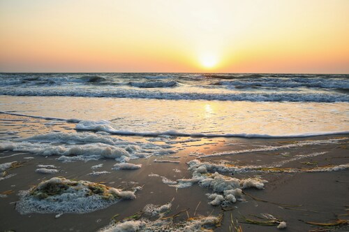 Escape to paradise. Great place. Studiomeer on the Beach