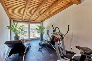 A room with a ceiling fan, a treadmill, a chair, and two potted plants. - Brigitta Winery House -2- (Zell kaimt)