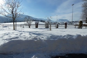 Paisagem nevada com cerca, árvores e uma montanha ao fundo.