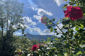 A garden with blooming roses and a mountain in the background. - Holiday apartment with 1 bedroom (Fischbachau)