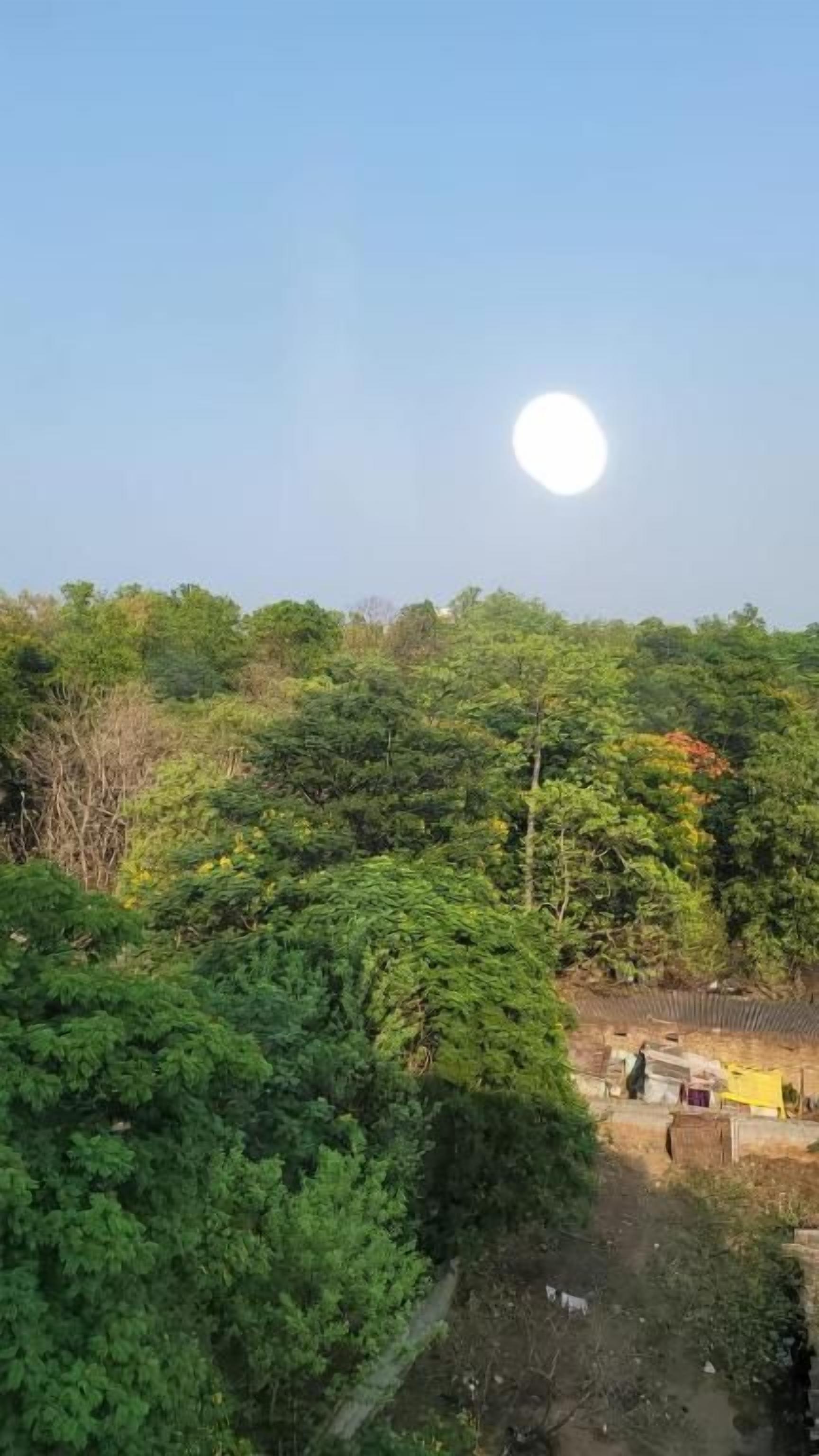 A rural landscape with dense greenery and a clear sky.