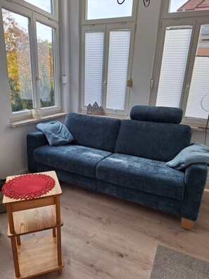 A living room with a blue sofa, a wooden side table with a red circular mat, and a view of trees through the windows.