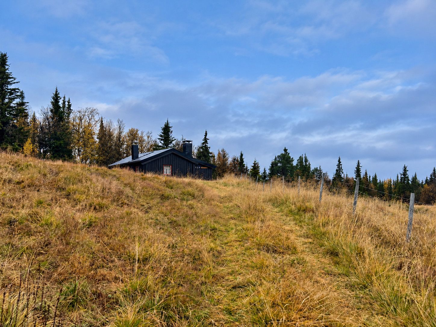 Eine rustikale Holzhütte auf einem grasbewachsen Hügel unter blauem Himmel.