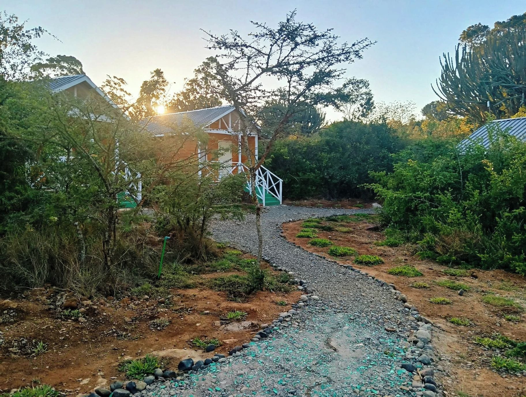 Un sendero conduce a un edificio de techo inclinado, rodeado de vegetación exuberante y un camino de grava.