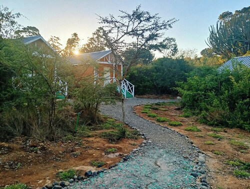 Rays Camp Narumoru mt Kenya cabins