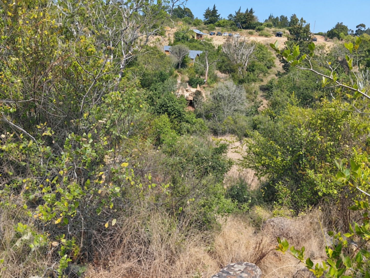 Paisaje natural con vegetación densa y algunas construcciones en una ladera.