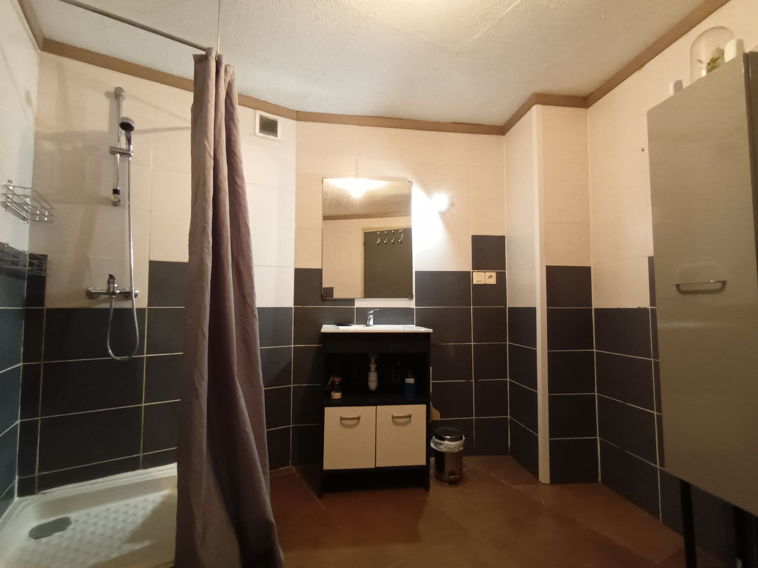 Une salle de bain avec une douche, un lavabo et un miroir.