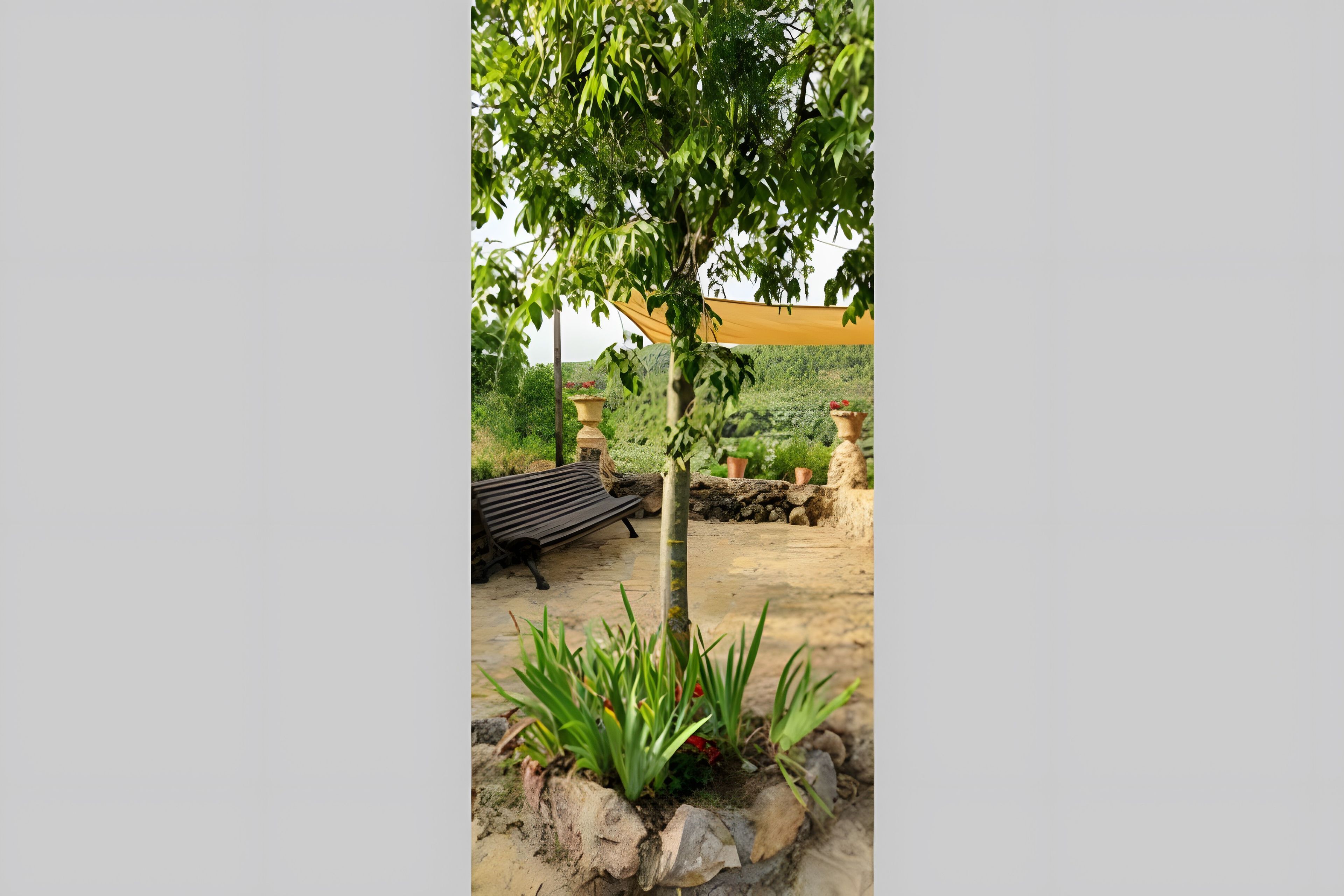 Terraza o patio